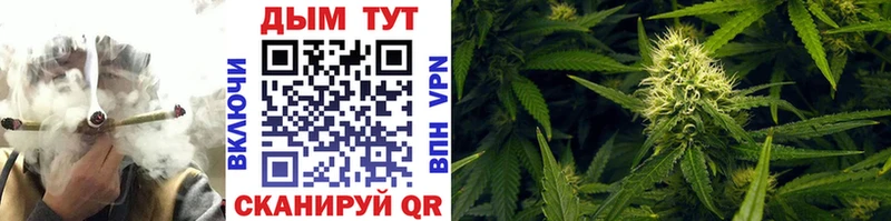 Где купить Щучье Alpha-PVP  МЕФ  ГАШ  Канабис 