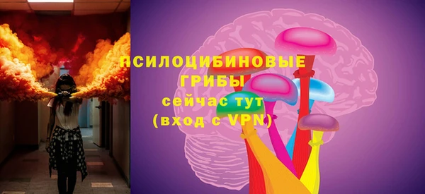 Альфа ПВП Алексин