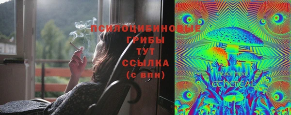 гашик Абинск