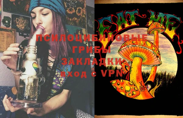 индика Абдулино
